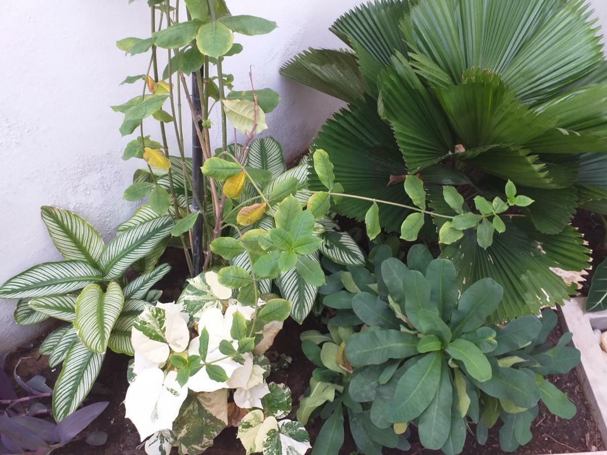 Karls Guesthouse Cotonou Ngoại thất bức ảnh
